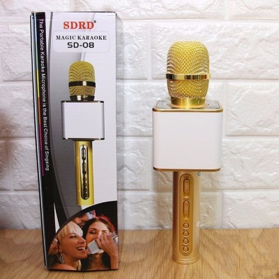 Mic Sd08