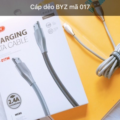 Dây Sạc Byz BC017 ip - SS - Type C