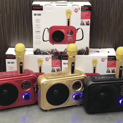 Loa Karaoke Sd501