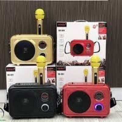 Loa Karaoke Sd501