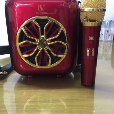 Loa Karaoke A20