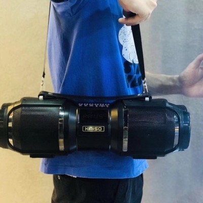 Loa Karaoke T1S