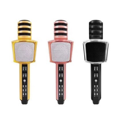 Mic Karaoke Sd17