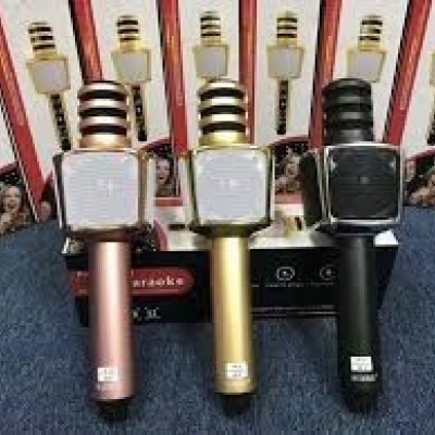 Mic Karaoke Sd17