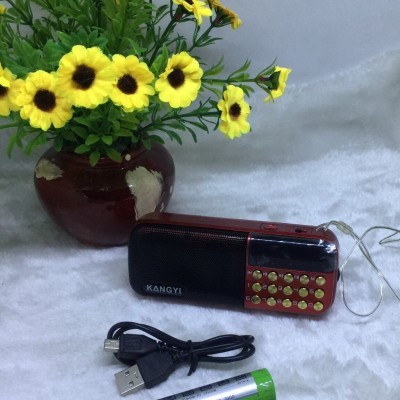 Loa Fm 2 Pin