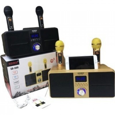 Loa Karaoke S309