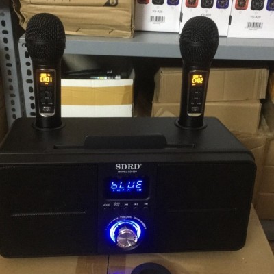 Loa Karaoke S309