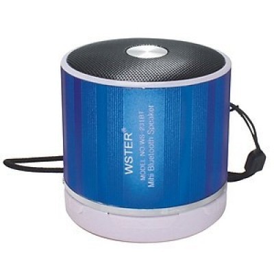 Loa Blutooth Ws231 Bt
