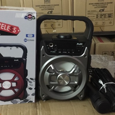 Loa Karaoke P668 / P669