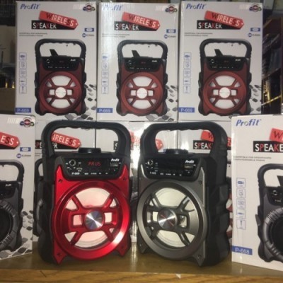 Loa Karaoke P668 / P669