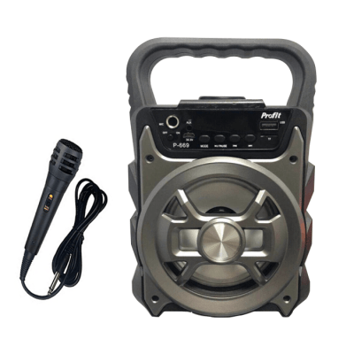 Loa Karaoke P668 / P669