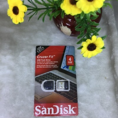 USB Sandisk 4Gb