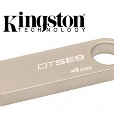 USB Kington SE9 4Gb