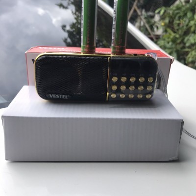 Loa Fm 2 pin 