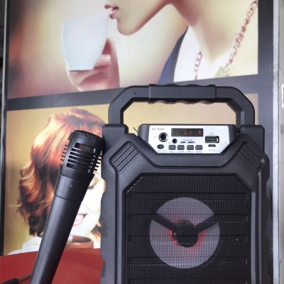 Loa Karaoke + Mic Dây S699